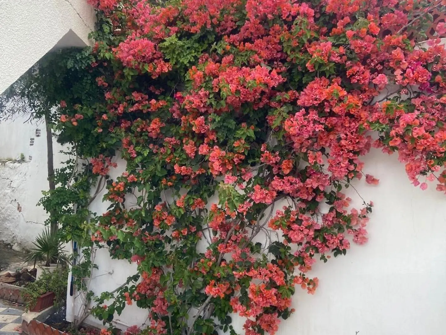 Maison El Omrane 2 Bin Rhilouf